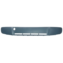 APLIQUE PRIMER PARAGOLPE DELT. SAGUJ. CAMINERO